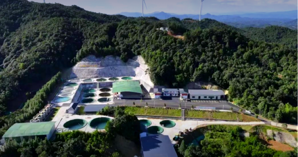 瓦力游戏| 官网 -瓦力出品,必属精品